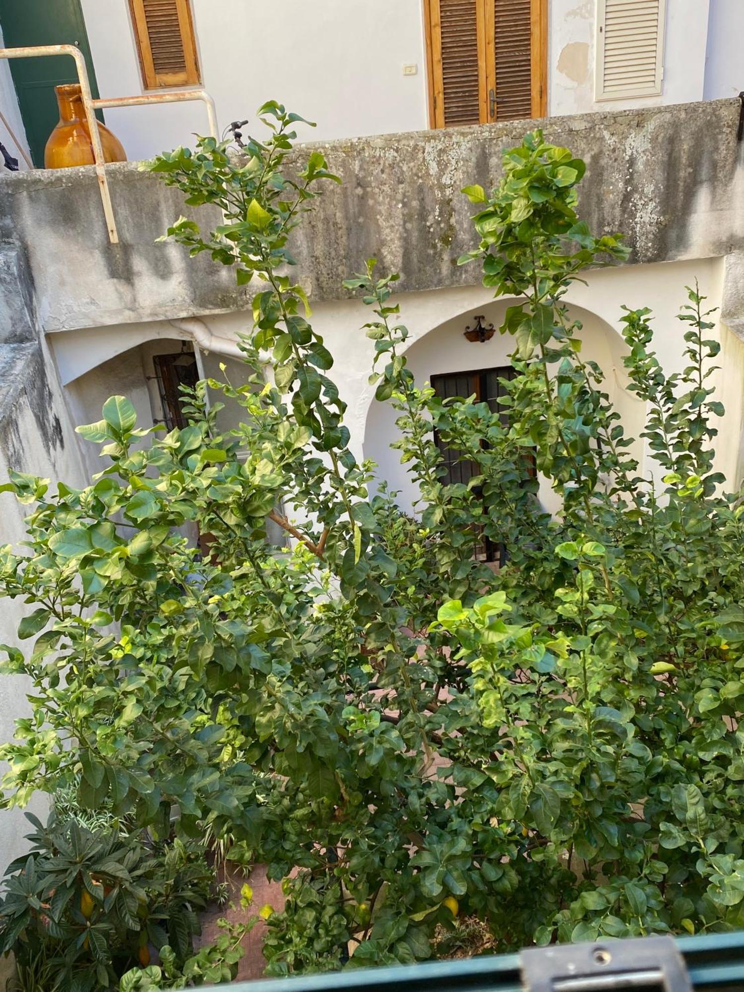 Casetta Zia Tetti Lecce Bagian luar foto
